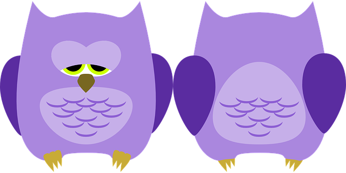 Purple Cartoon Owls Illustration PNG Image