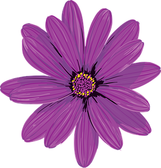 Purple Daisy Illustration PNG Image