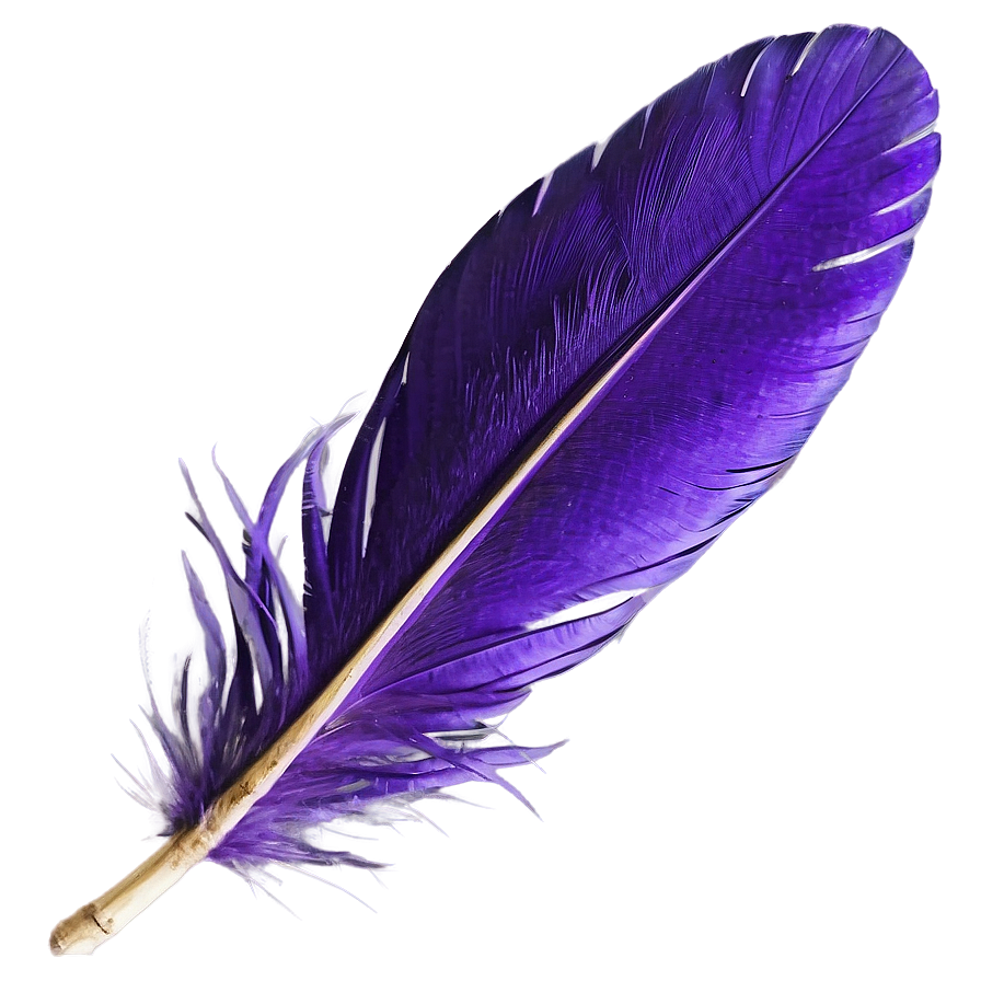 Purple Feather Png 2 PNG Image