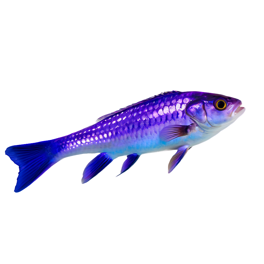 Purple Fish Png Eyn36 PNG Image