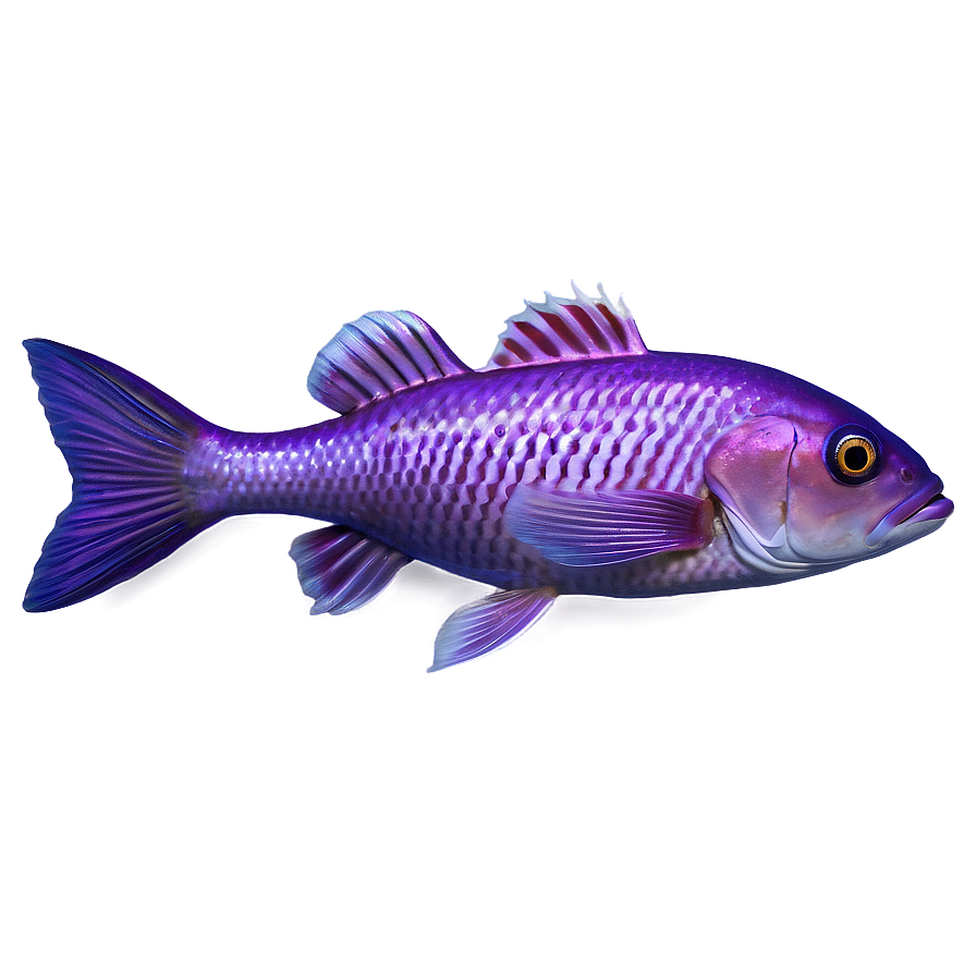 Purple Fish Png Vqx92 PNG Image