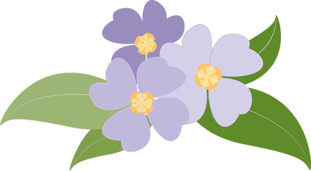 Purple Floral Vector Illustration PNG Image