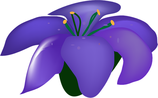 Purple Flower Illustration PNG Image