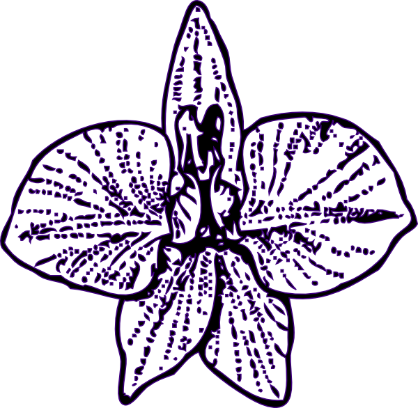 Purple Flower Line Art Outline.png PNG Image