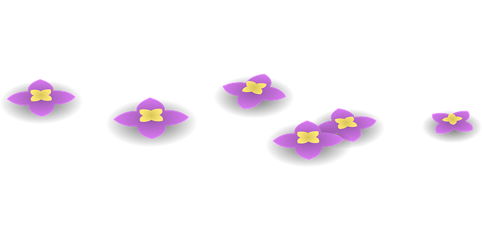 Purple Flowers Black Background PNG Image