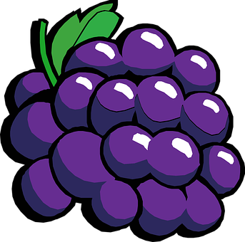 Purple Grapes Cartoon Illustration PNG Image