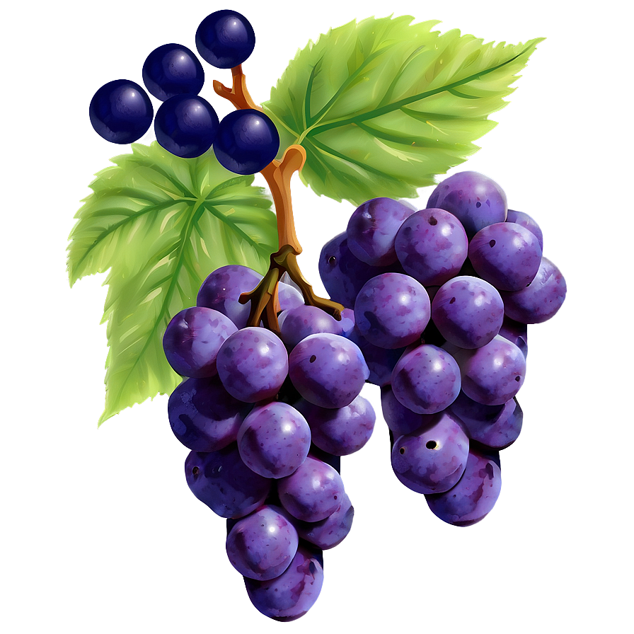 Purple Grapes Png Dcn PNG Image