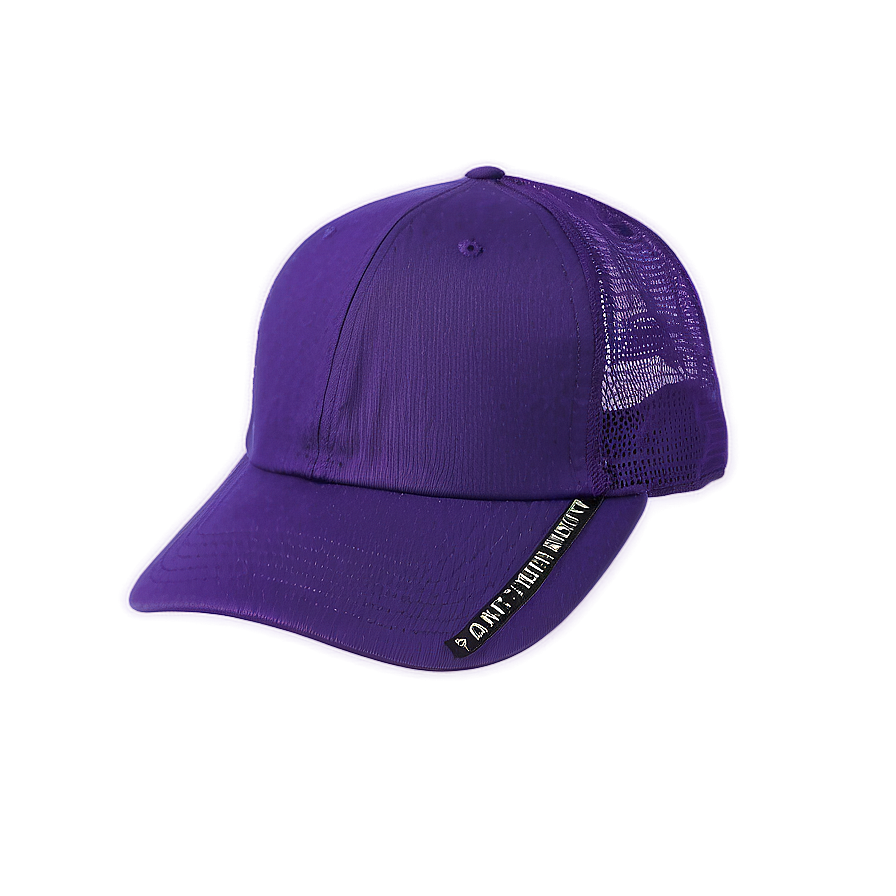 Purple Hat Png Gbt6 PNG Image