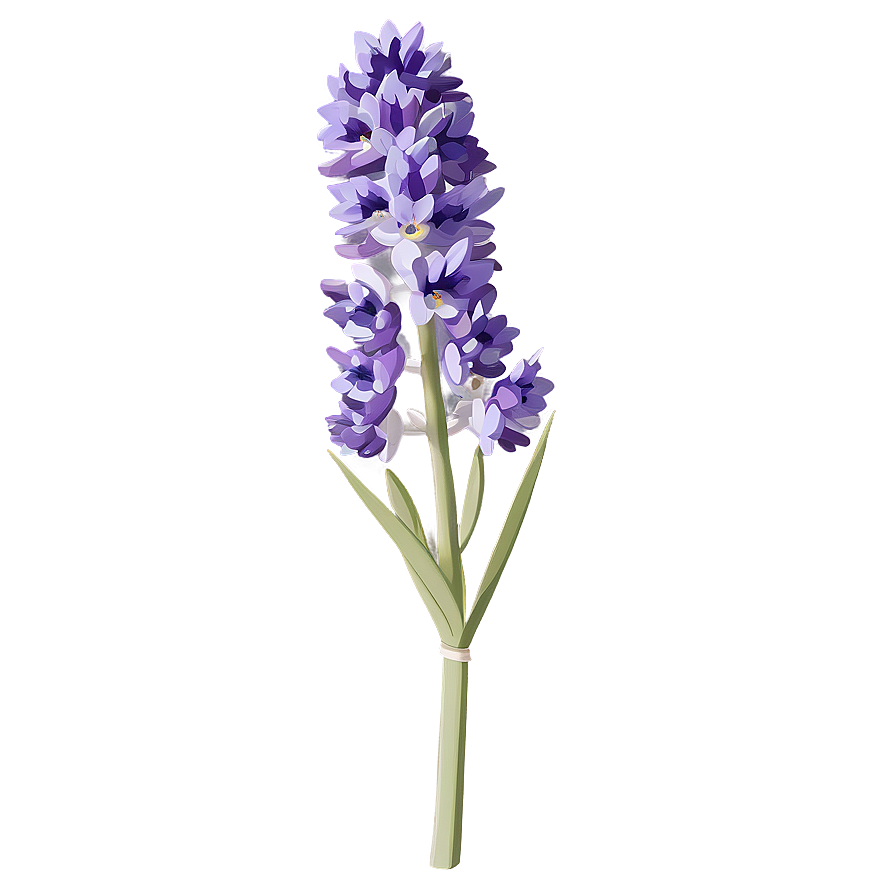 Purple Lavender Bloom Png Hye34 PNG Image