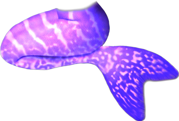 Purple Mermaid Tail Graphic PNG Image