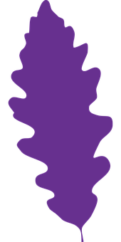 Purple Oak Leaf Silhouette PNG Image