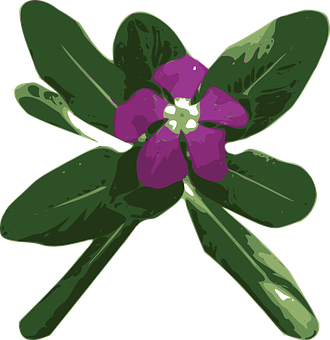 Purple Periwinkle Vector Illustration PNG Image