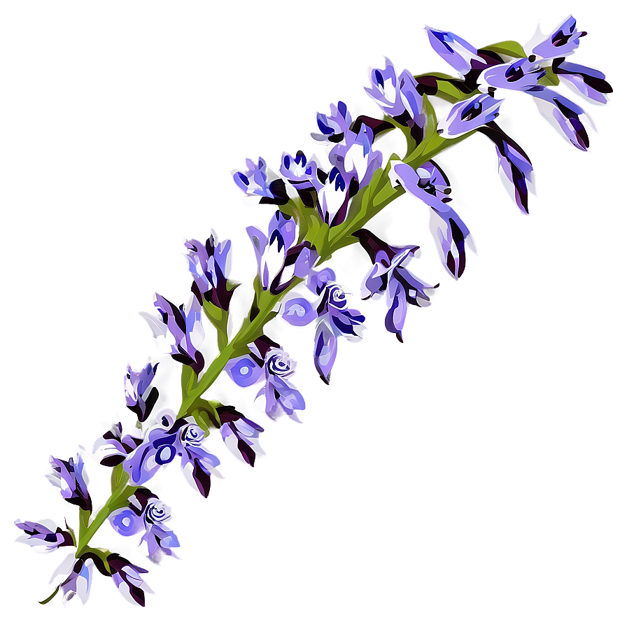 Purple Wildflower Png 05242024 PNG Image