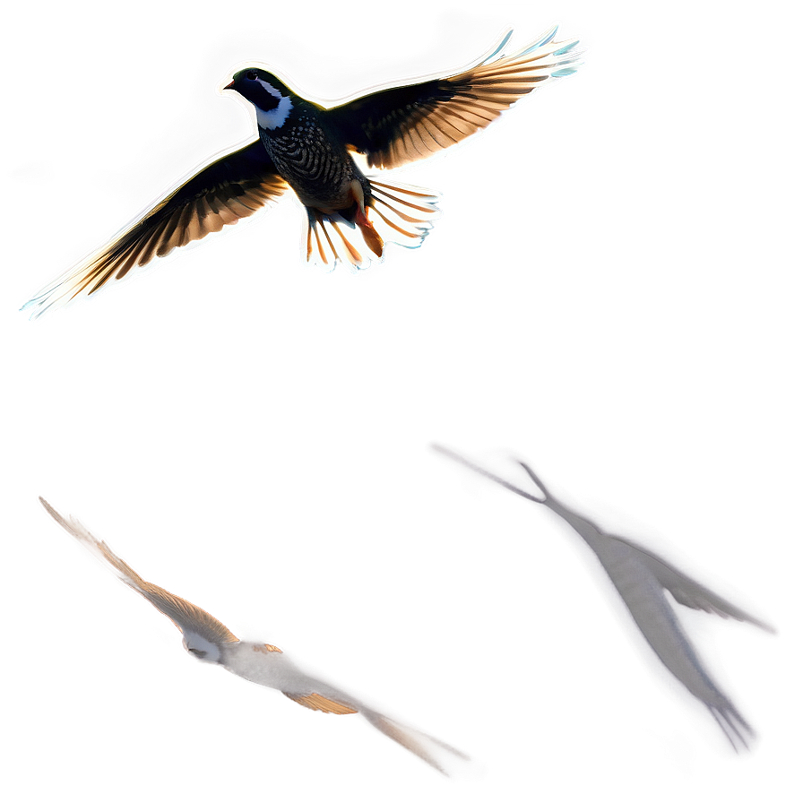 Quail In Flight Silhouette Png 84 PNG Image