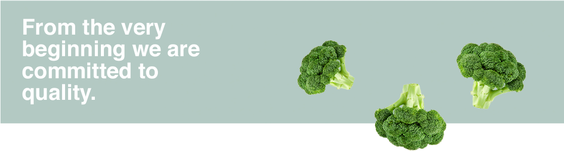 Quality Broccoli Commitment Banner PNG Image