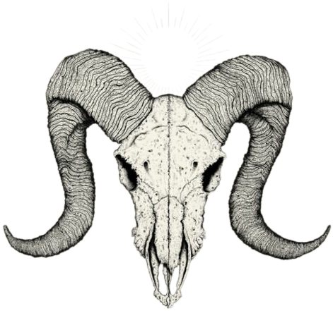 Radiant Horned Skull Illustration.png PNG Image