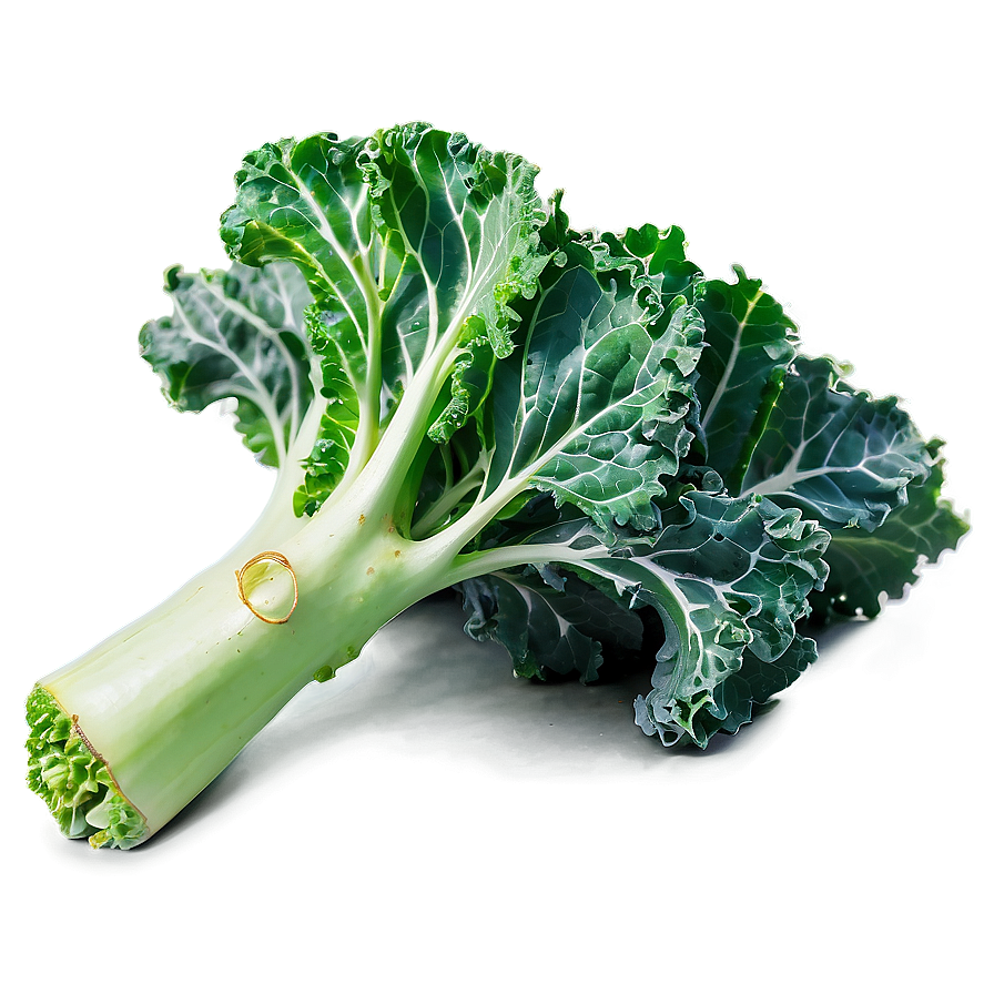 Rainbow Kale Png Stb PNG Image