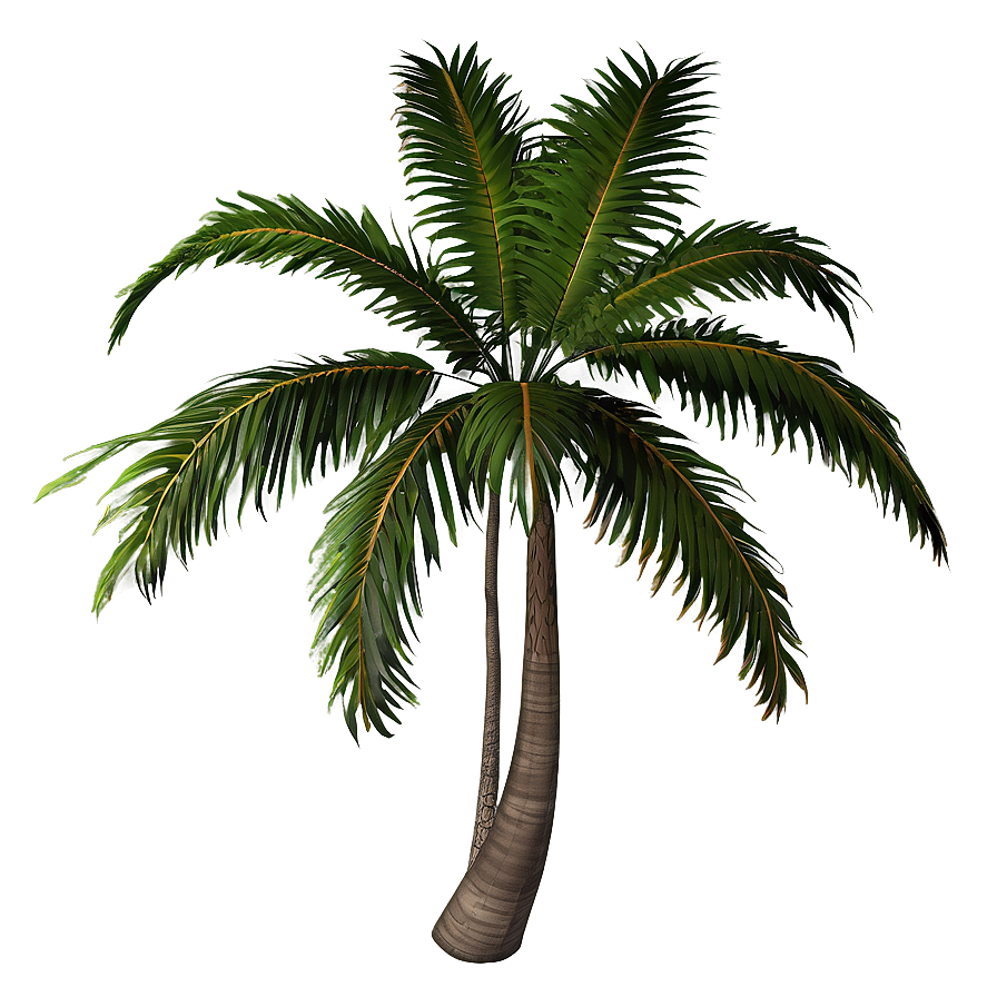 Rainbow Palm Tree Png 98 PNG Image