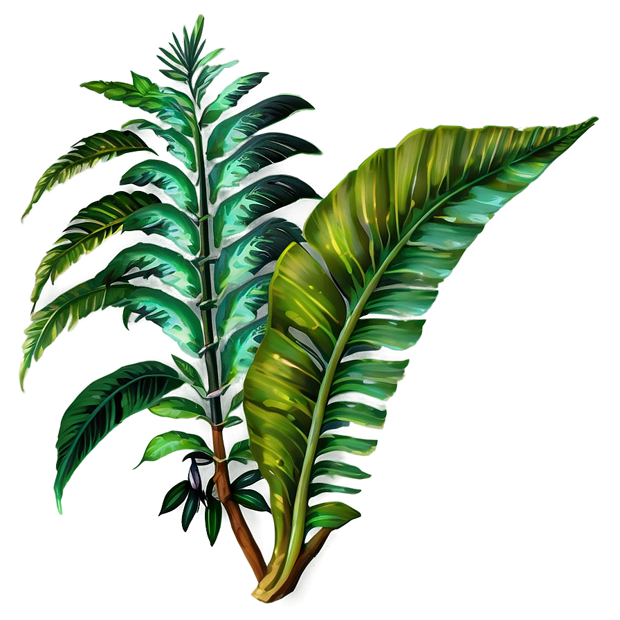 Rainforest Flora Png 29 PNG Image