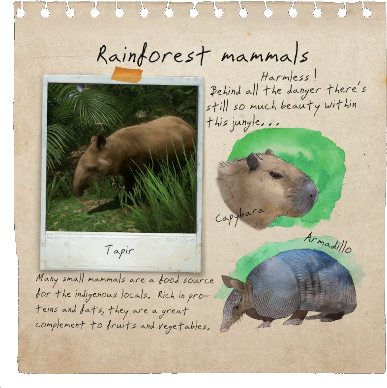 Rainforest Mammals Scrapbook Page PNG Image