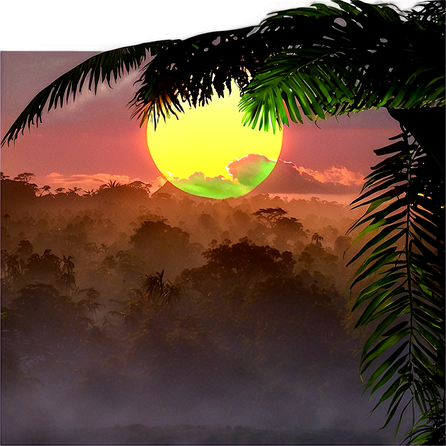 Rainforest Sunrise Png Ppw PNG Image