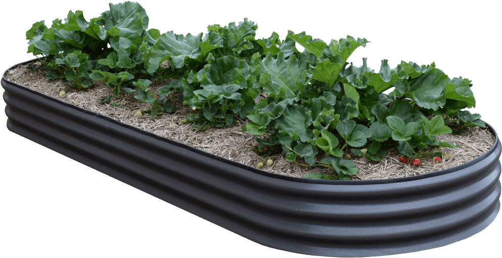 Raised Garden Bed Vegetables PNG Image