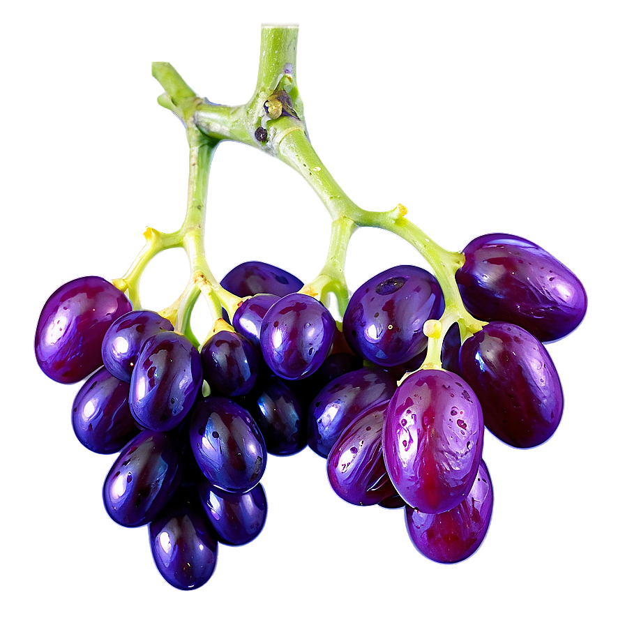 Raisins On Vine Png Nyy PNG Image