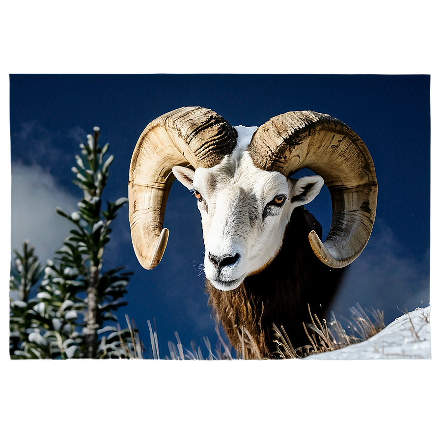 Ram Head In Snowy Landscape Png Klc PNG Image