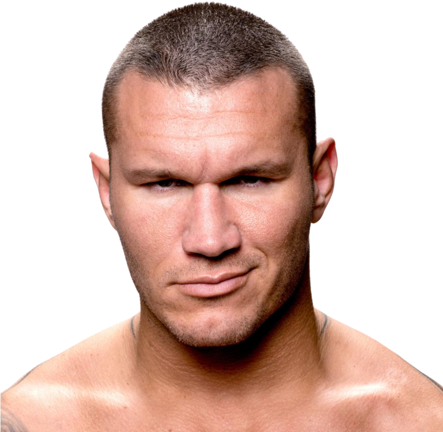 Randy Orton Portrait PNG Image