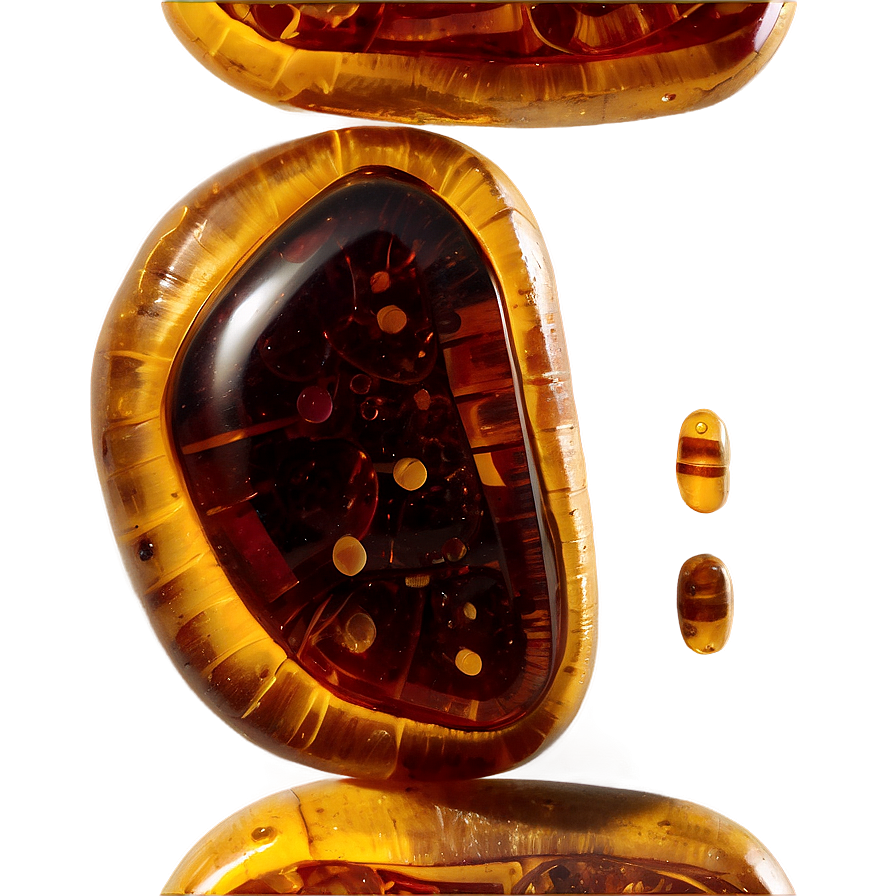 Rare Amber Fossil Png Esn PNG Image