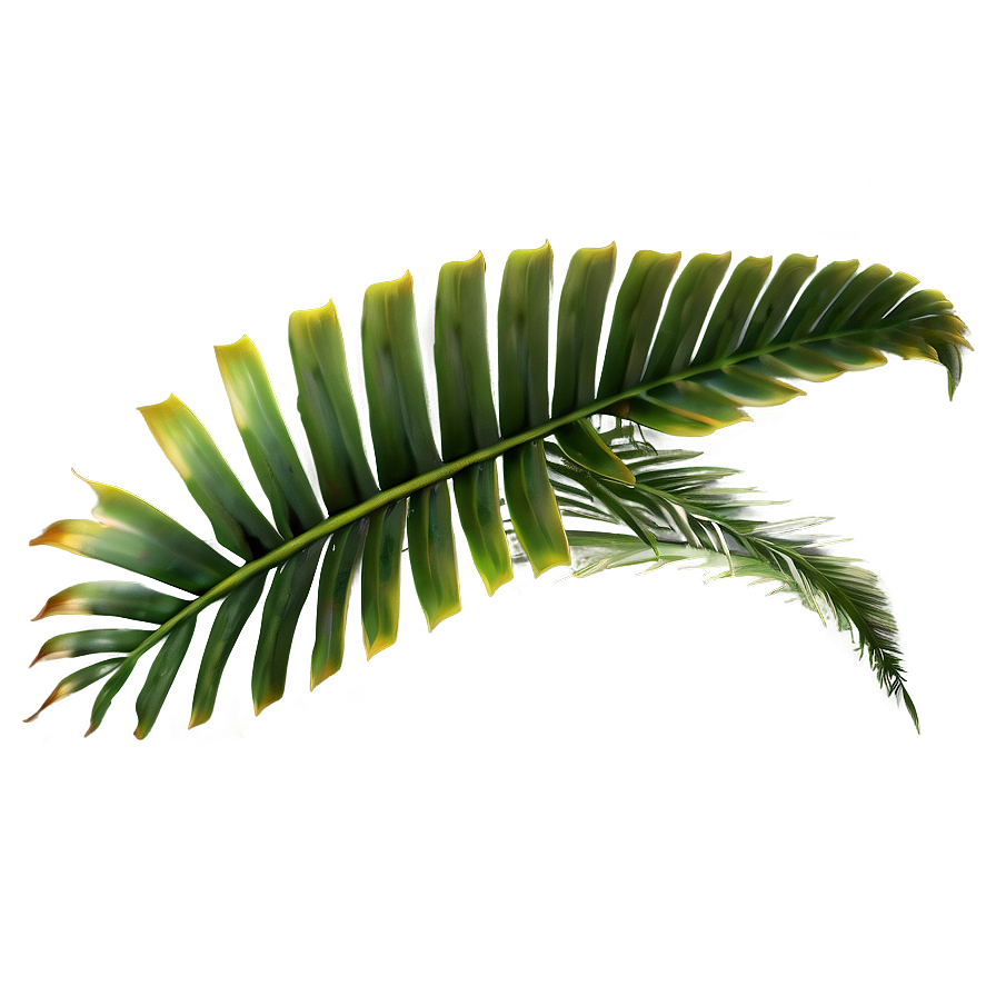 Rare Tropical Plants Png Cms15 PNG Image