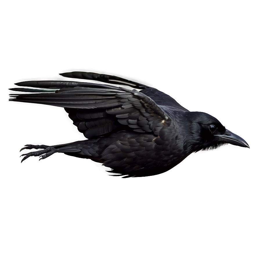 Raven Silhouette In Flight Png Xoj PNG Image