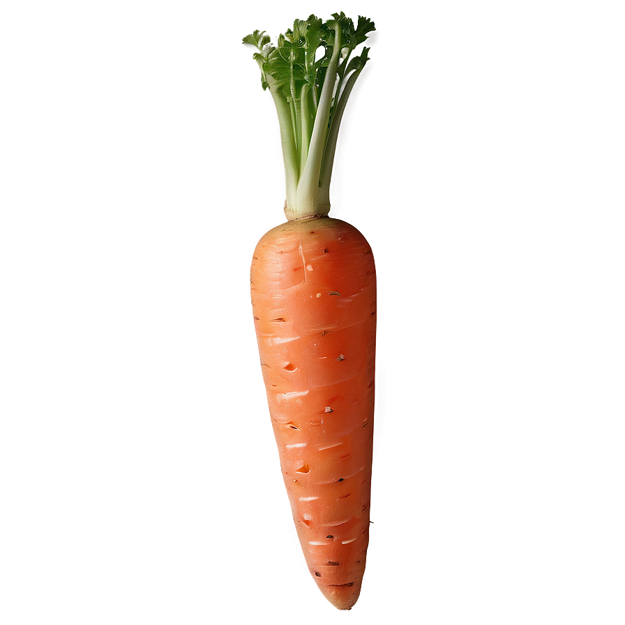 Raw Carrot Png 78 PNG Image