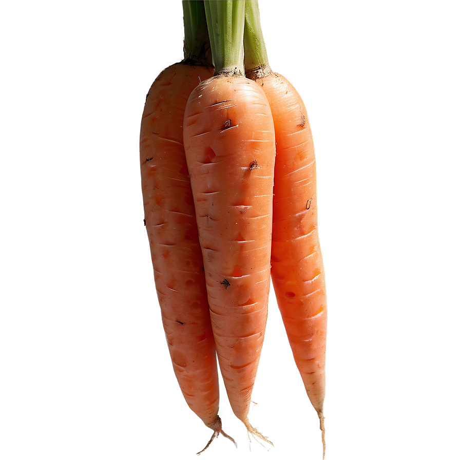 Raw Carrot Png 86 PNG Image