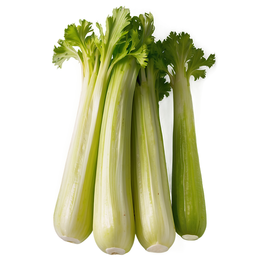 Raw Organic Celery Png Aee PNG Image