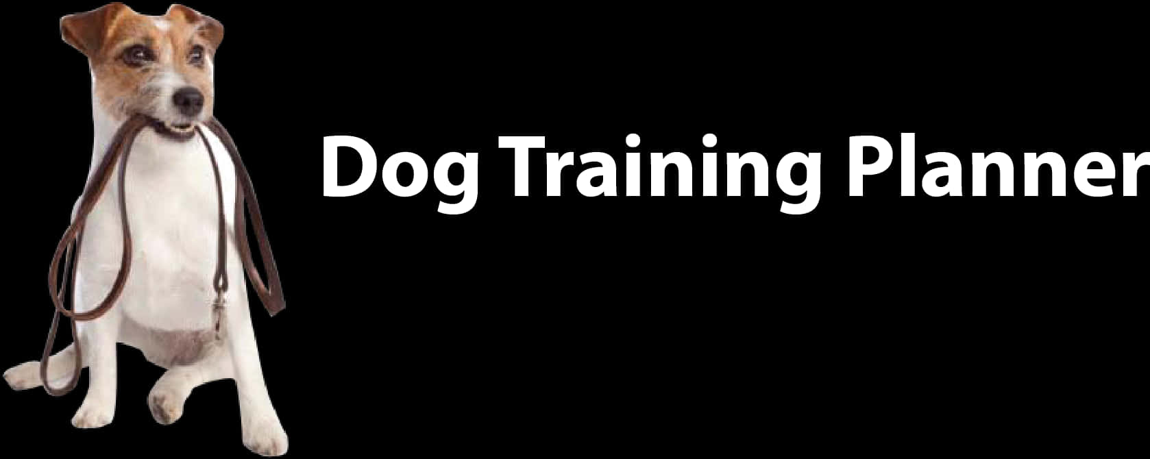 Readyfor Training Dogwith Leash PNG Image