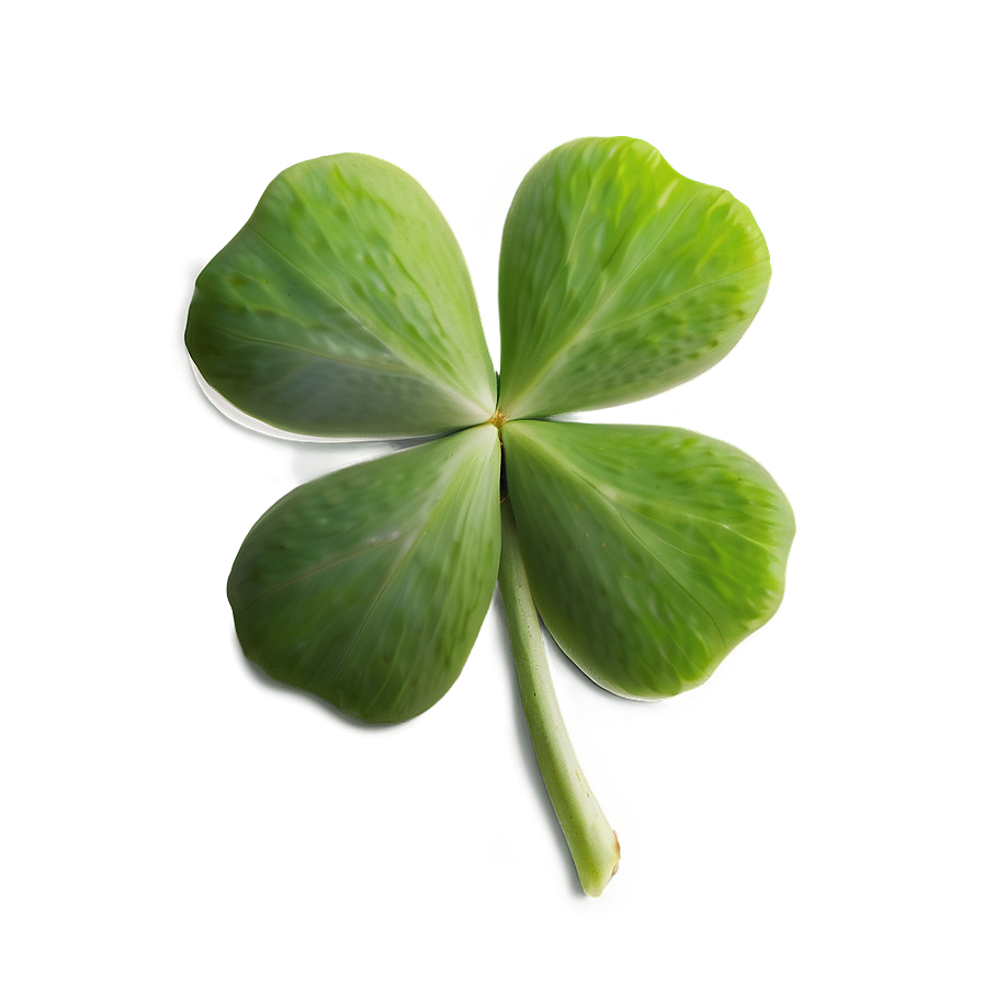 Real Four Leaf Clover Png 05252024 PNG Image