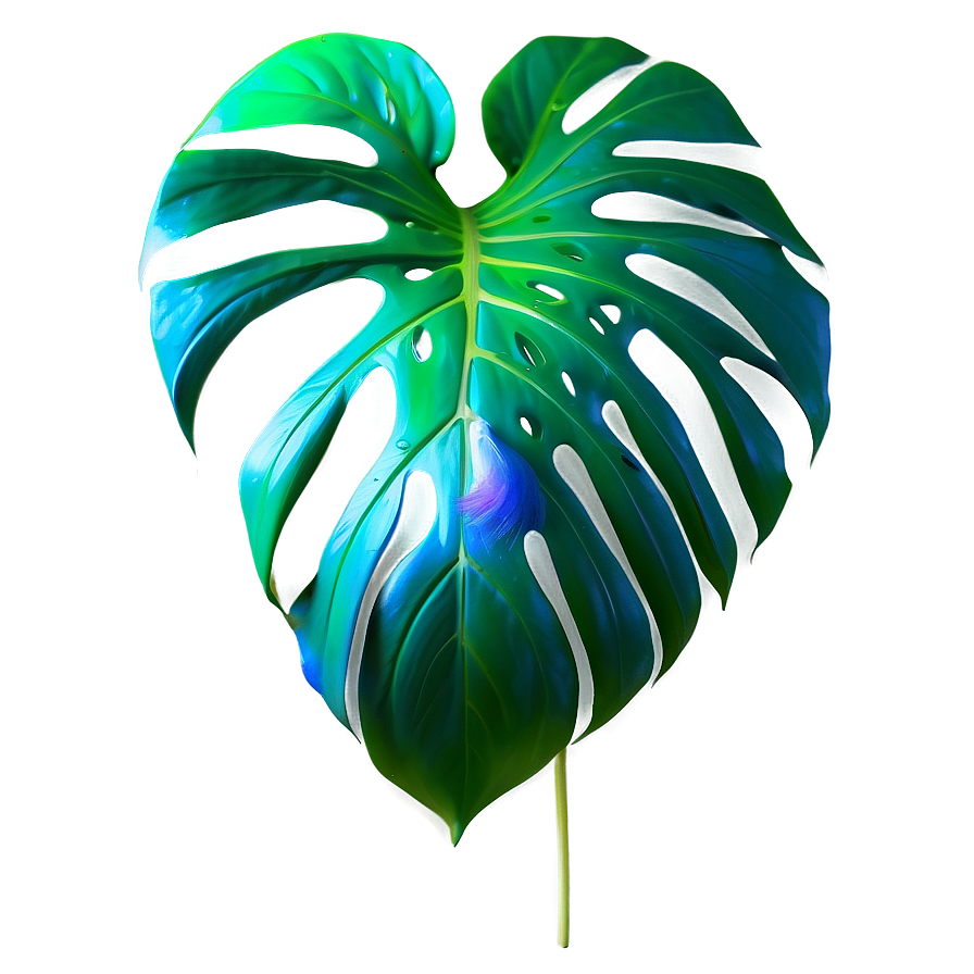 Real Monstera Plant Png 12 PNG Image