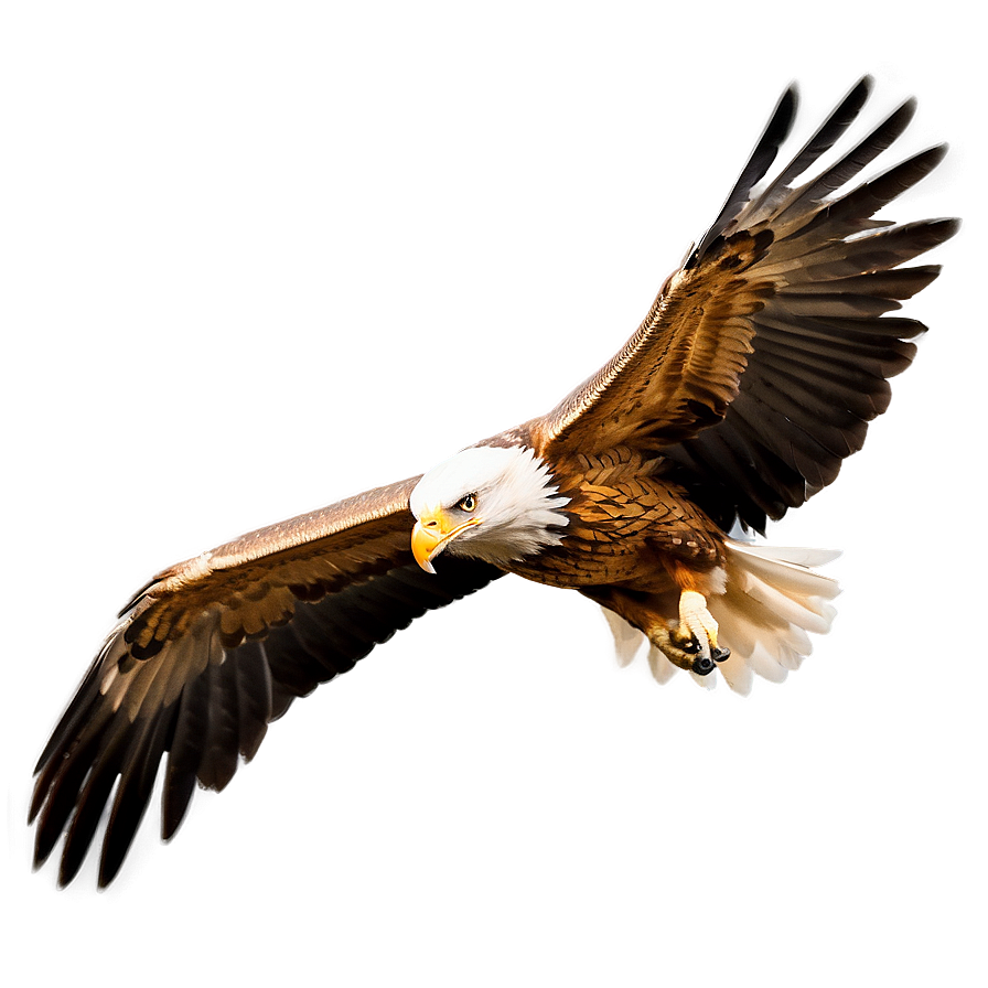 Realistic Aguila Png Kbr17 PNG Image