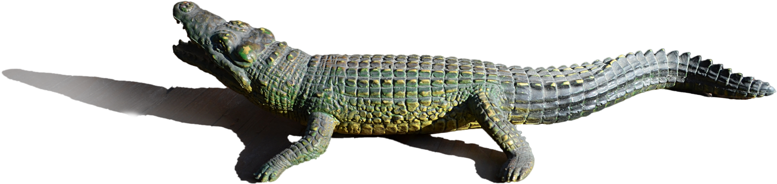 Realistic Alligator Model PNG Image