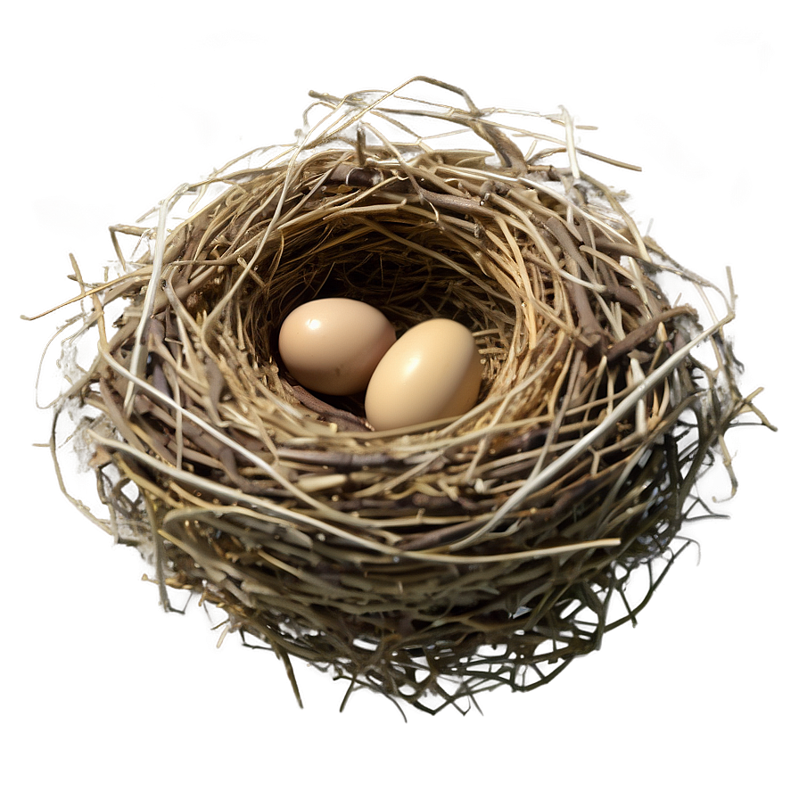 Realistic Bird Nest Png Sug86 PNG Image