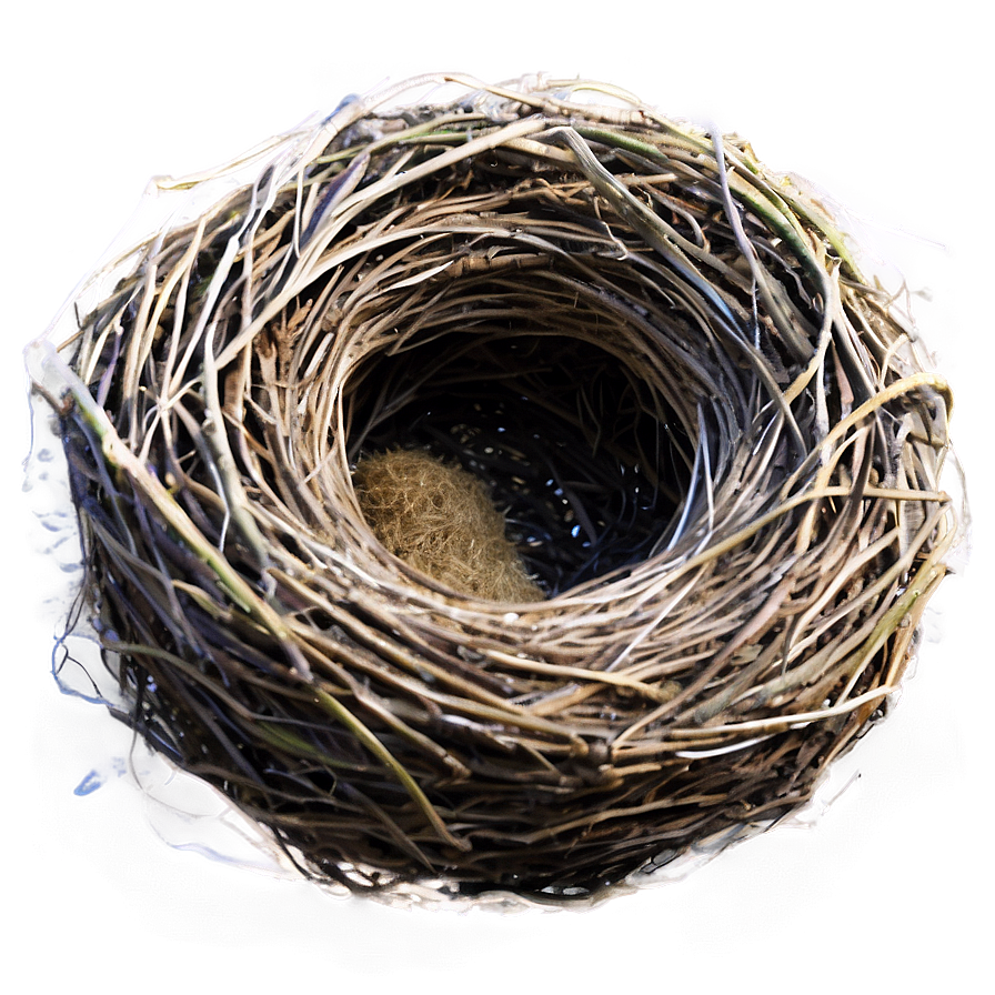 Realistic Bird Nest Png Vlp PNG Image