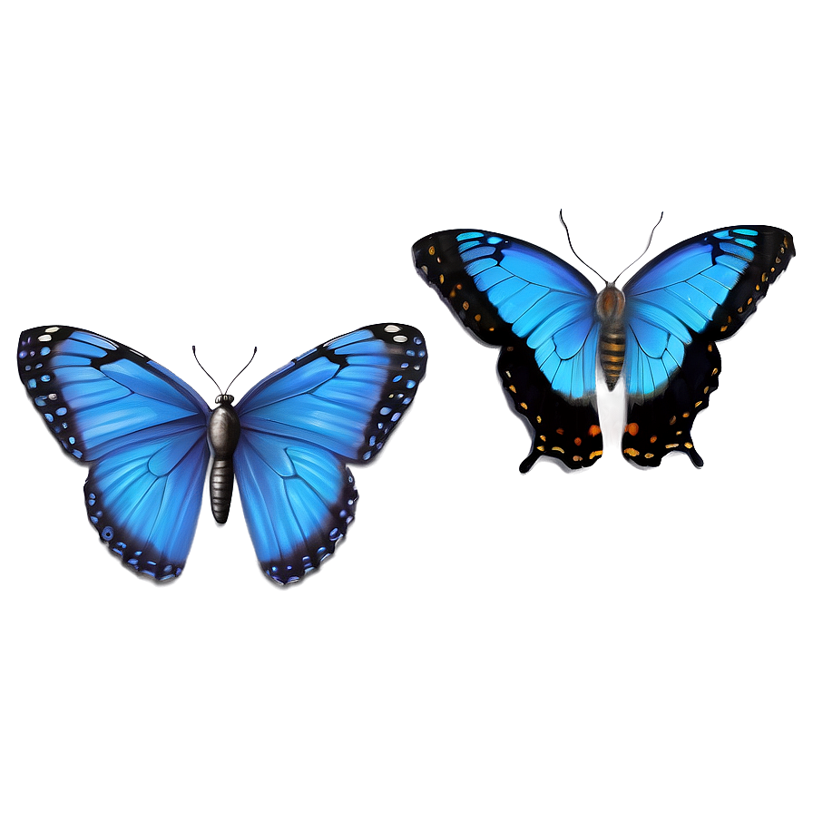 Realistic Blue Butterflies Png Qms PNG Image