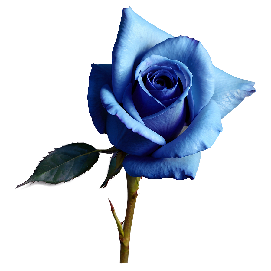 Realistic Blue Rose Png Ofv21 PNG Image