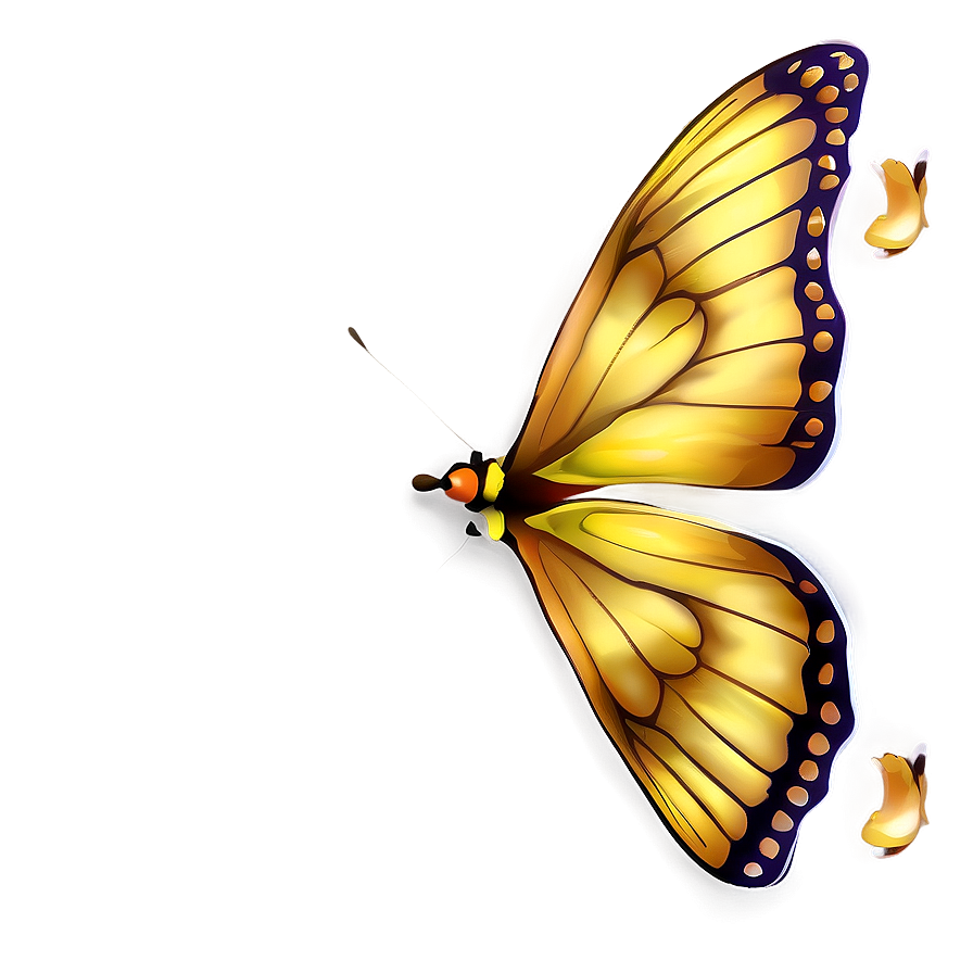 Realistic Butterfly Outline Png 05252024 PNG Image