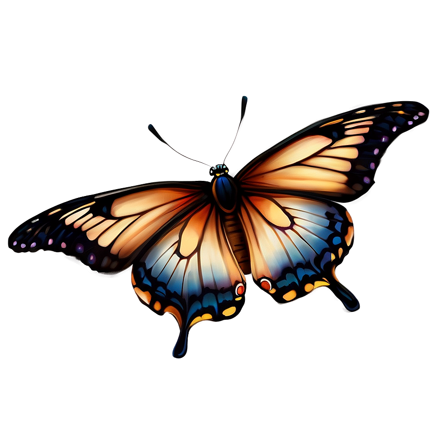 Realistic Butterfly Outline Png 47 PNG Image