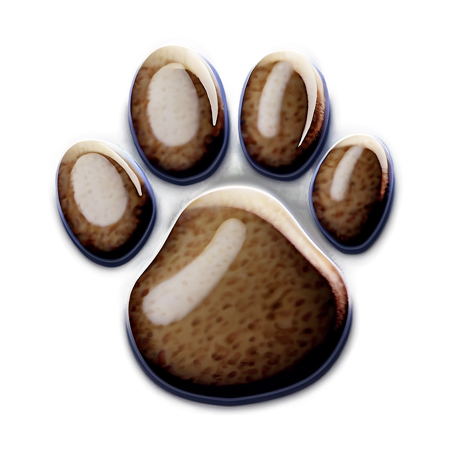 Realistic Cat Paw Print Png 06272024 PNG Image