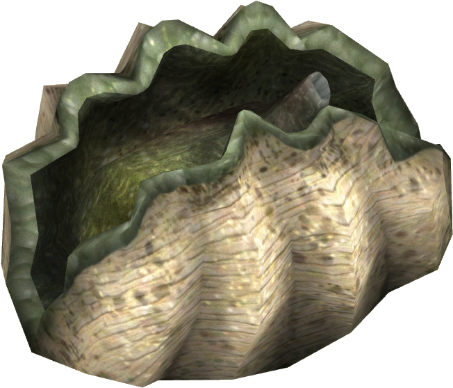 Realistic Clam Shell3 D Render PNG Image