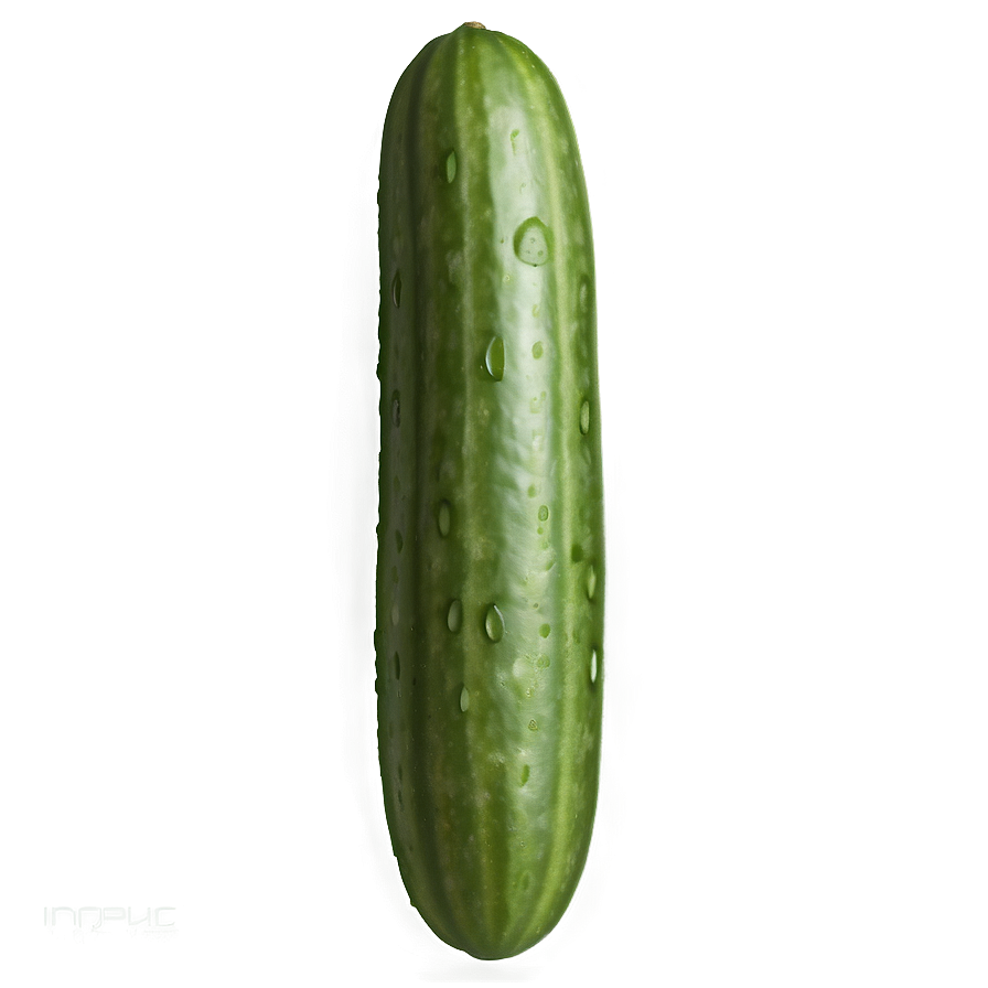 Realistic Cucumber Png 21 PNG Image