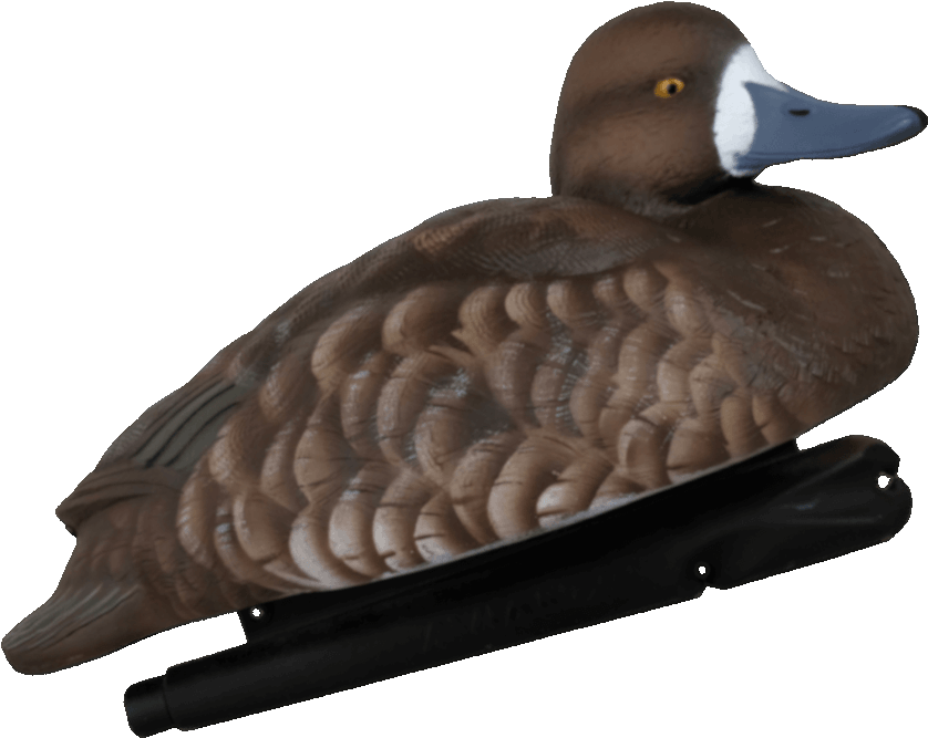 Realistic Duck Decoy Profile PNG Image